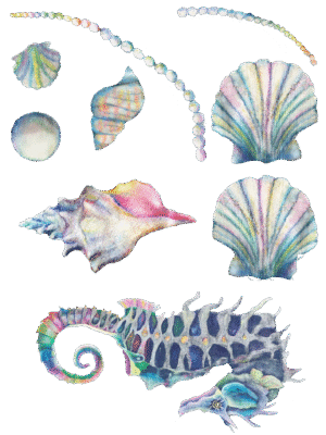 Bügelbild-Set "Meerestiere"