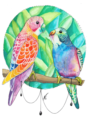 Bügelbild Wellensittich