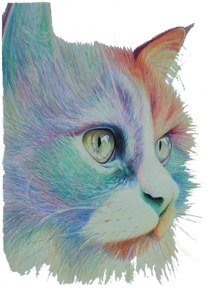 Bügelbild Katze klein