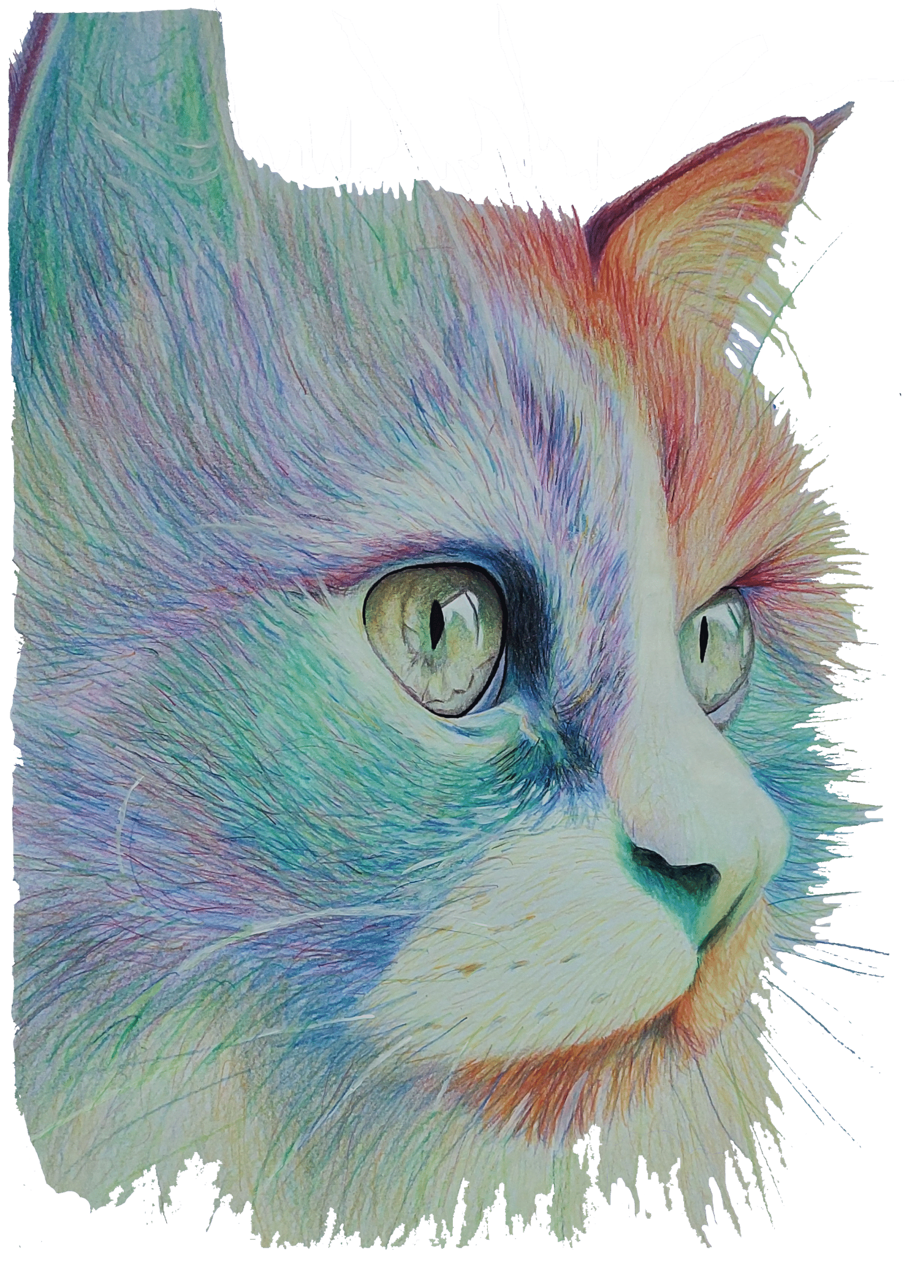 Bügelbild Katze klein