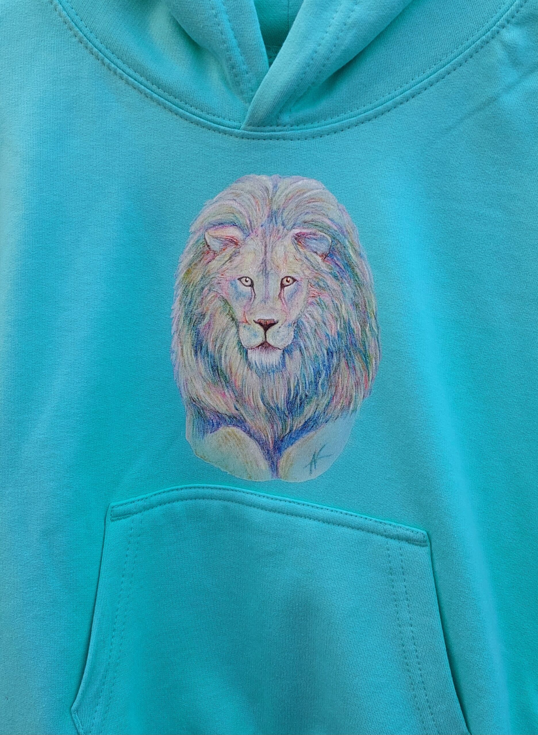 Kapuzenpullover für Kinder diverse Motive